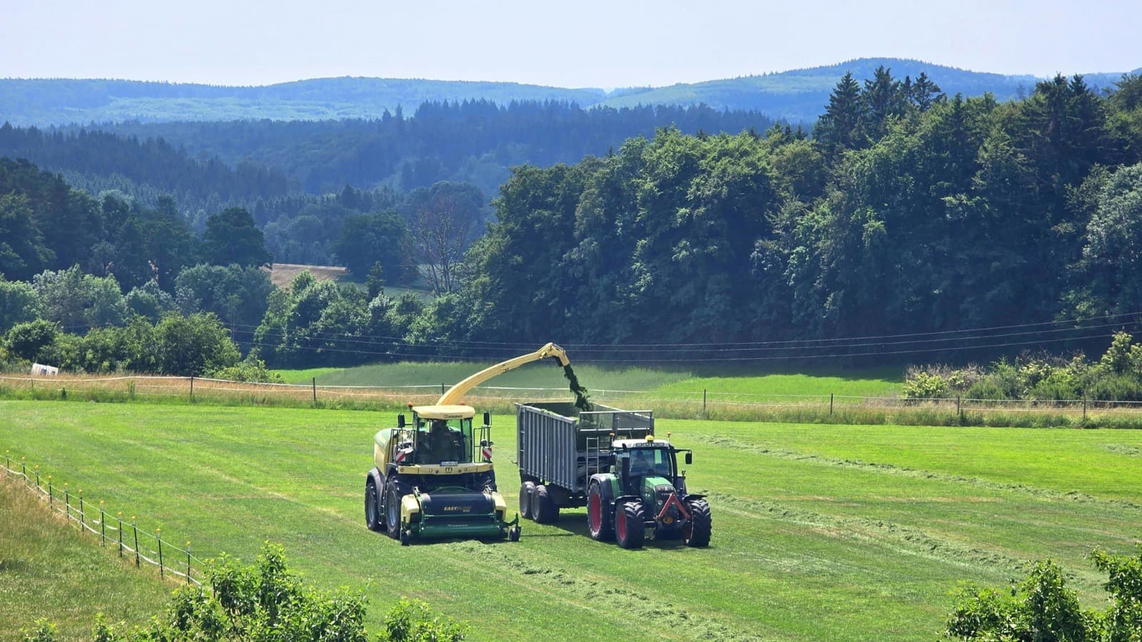 A forage harvester blowing chopped green material into a trailer towed alongside it.